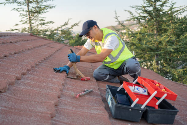 Best Local Roofing Companies  in Spring Hill, KS
