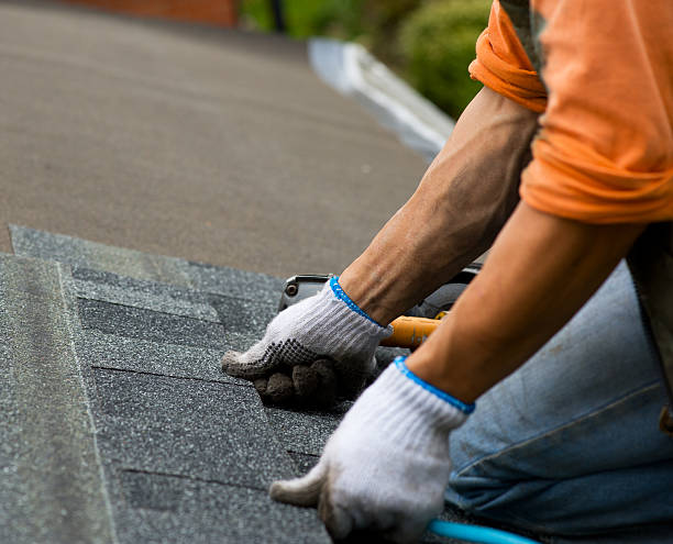 Best Roof Gutter Cleaning  in Spring Hill, KS